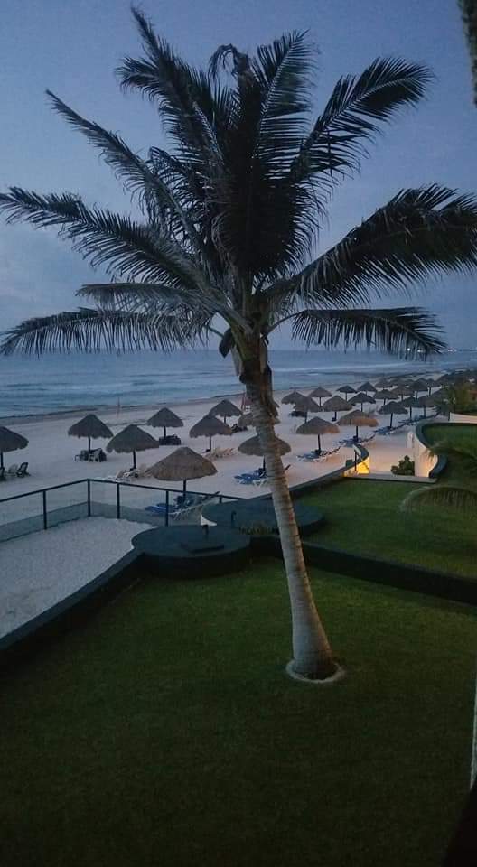 FB_IMG_1588216365591